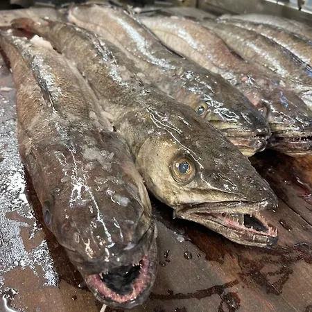 Restaurant Saelhunden Couette-café Ribe