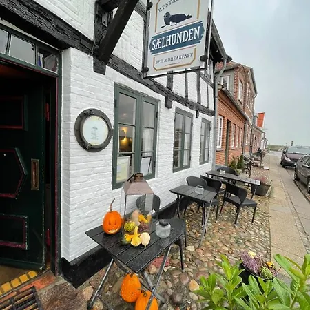 Restaurant Saelhunden 4* ريب