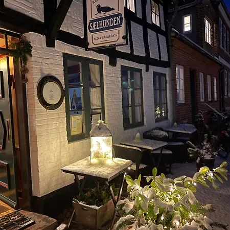 Restaurant Saelhunden 4* ريب